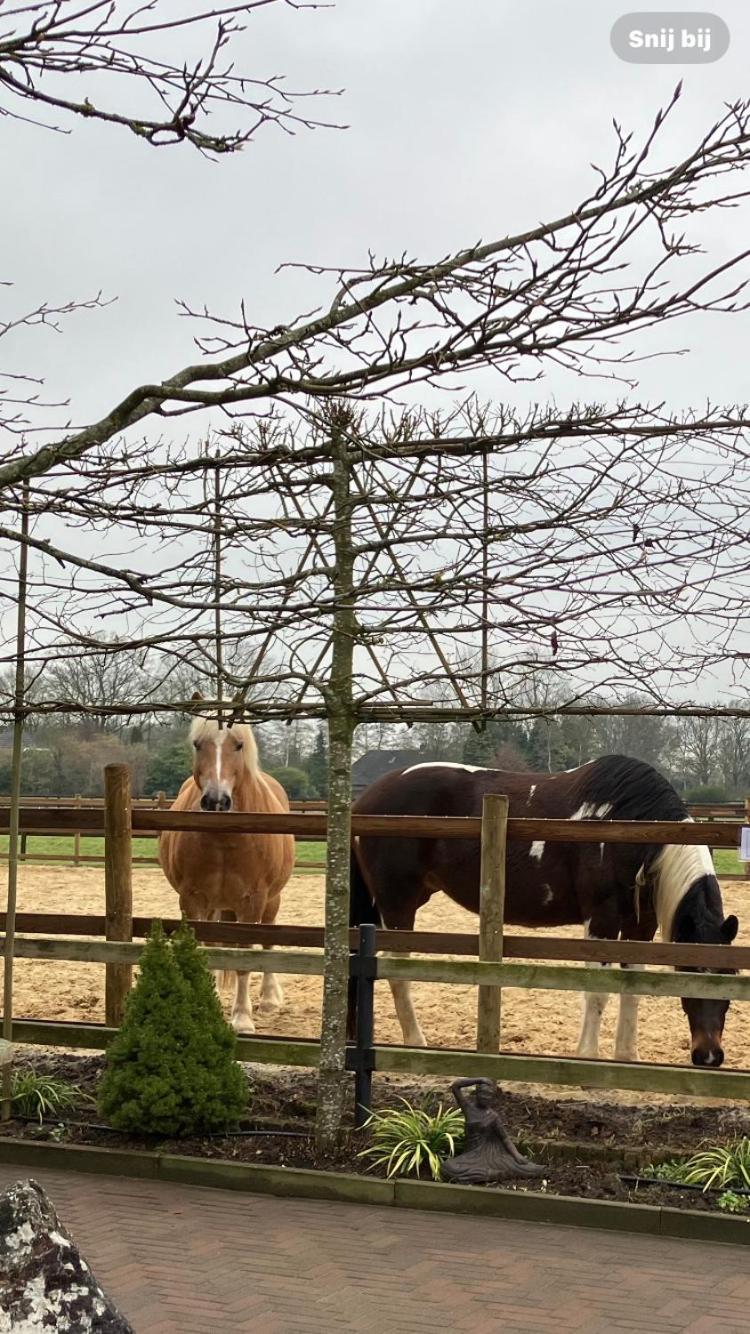 Carpe Diem Nijverdal Exteriér fotografie