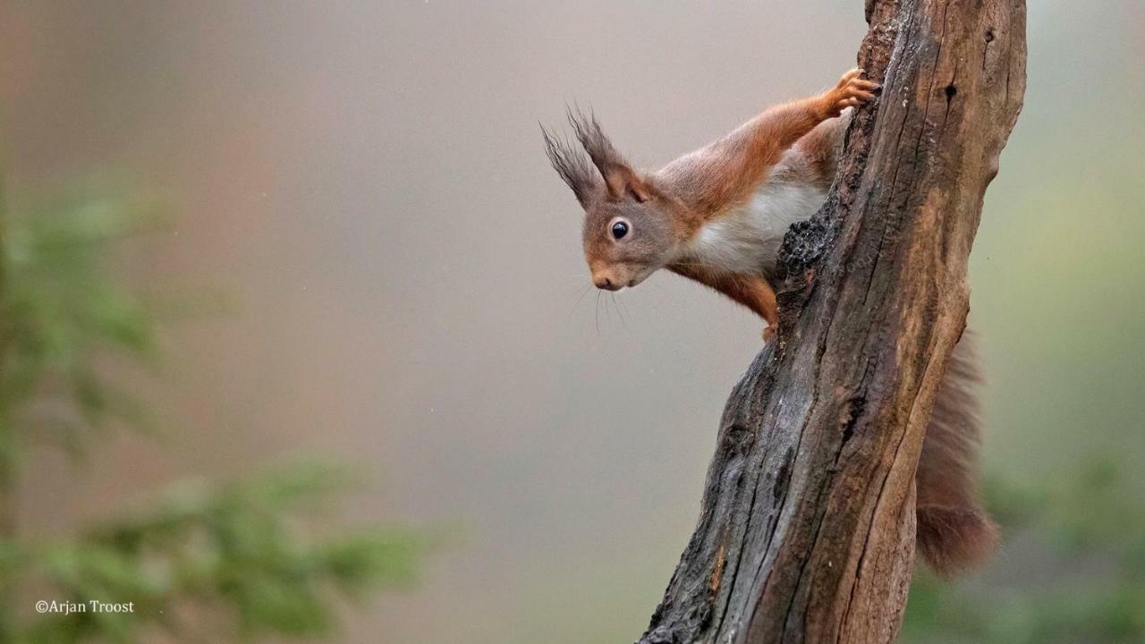 Carpe Diem Nijverdal Exteriér fotografie